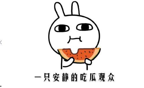 娱乐吃瓜酱相处方式,轻松相处的快乐秘籍